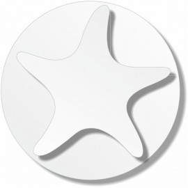 support polystyrène silhouette étoile de mer sur socle